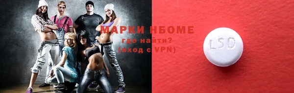 индика Тобольск