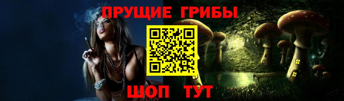 Галлюциногенные грибы GOLDEN TEACHER  Великие Луки  Псилоцибиновые грибы GOLDEN TEACHER 